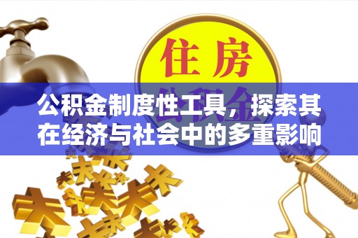 果洛公积金制度性工具，探索其在经济与社会中的多重影响