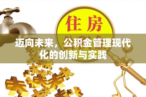 果洛迈向未来，公积金管理现代化的创新与实践