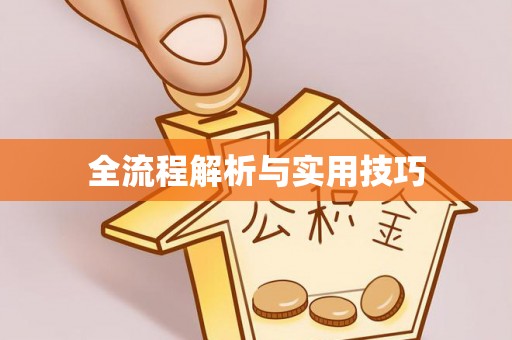 果洛全流程解析与实用技巧