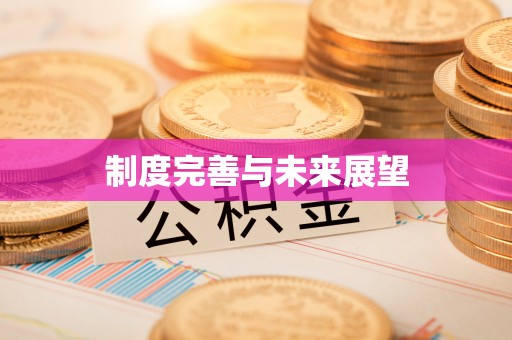 果洛制度完善与未来展望