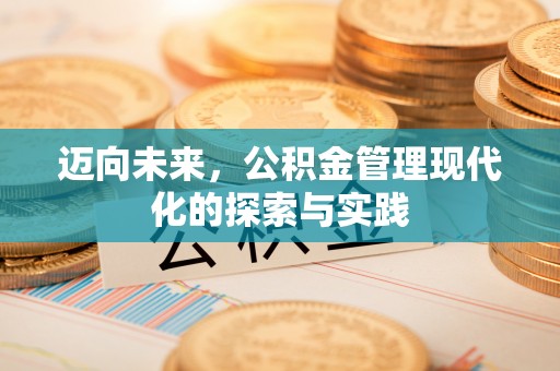 果洛迈向未来，公积金管理现代化的探索与实践