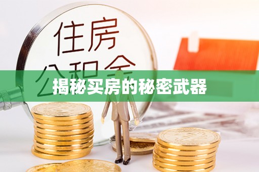 果洛揭秘买房的秘密武器