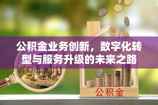 果洛公积金业务创新，数字化转型与服务升级的未来之路