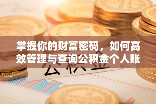 果洛掌握你的财富密码，如何高效管理与查询公积金个人账户信息