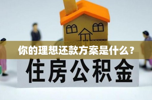 果洛你的理想还款方案是什么？