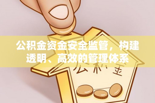果洛公积金资金安全监管，构建透明、高效的管理体系