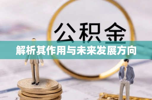 果洛解析其作用与未来发展方向