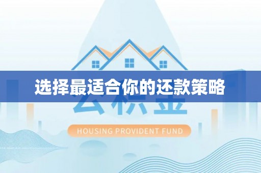 果洛选择最适合你的还款策略