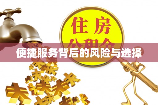 果洛便捷服务背后的风险与选择